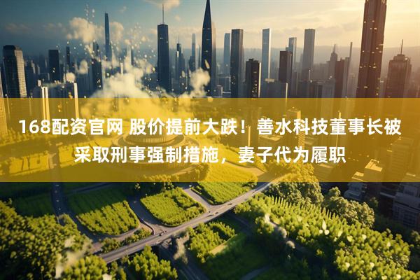 168配资官网 股价提前大跌！善水科技董事长被采取刑事强制措施，妻子代为履职