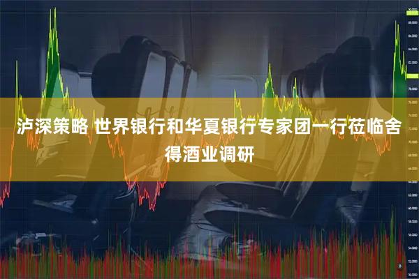 泸深策略 世界银行和华夏银行专家团一行莅临舍得酒业调研